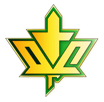 Гомельский ДСК