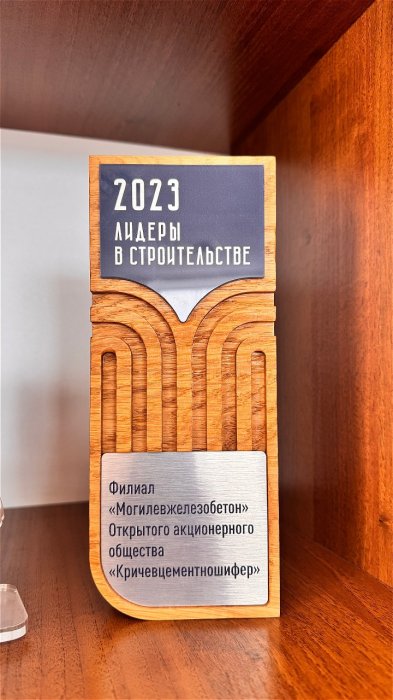 Награда Лидеры в строительстве 2023