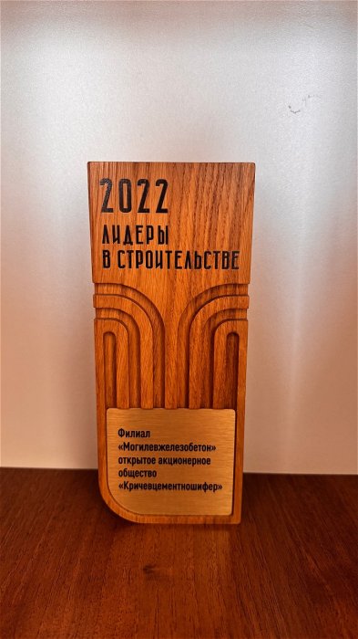 Награда Лидеры в строительстве 2022