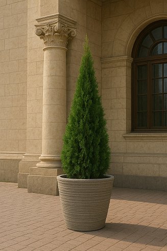 Вазон «Алекс»